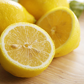 レモン羹 mizuyokan lemon kan